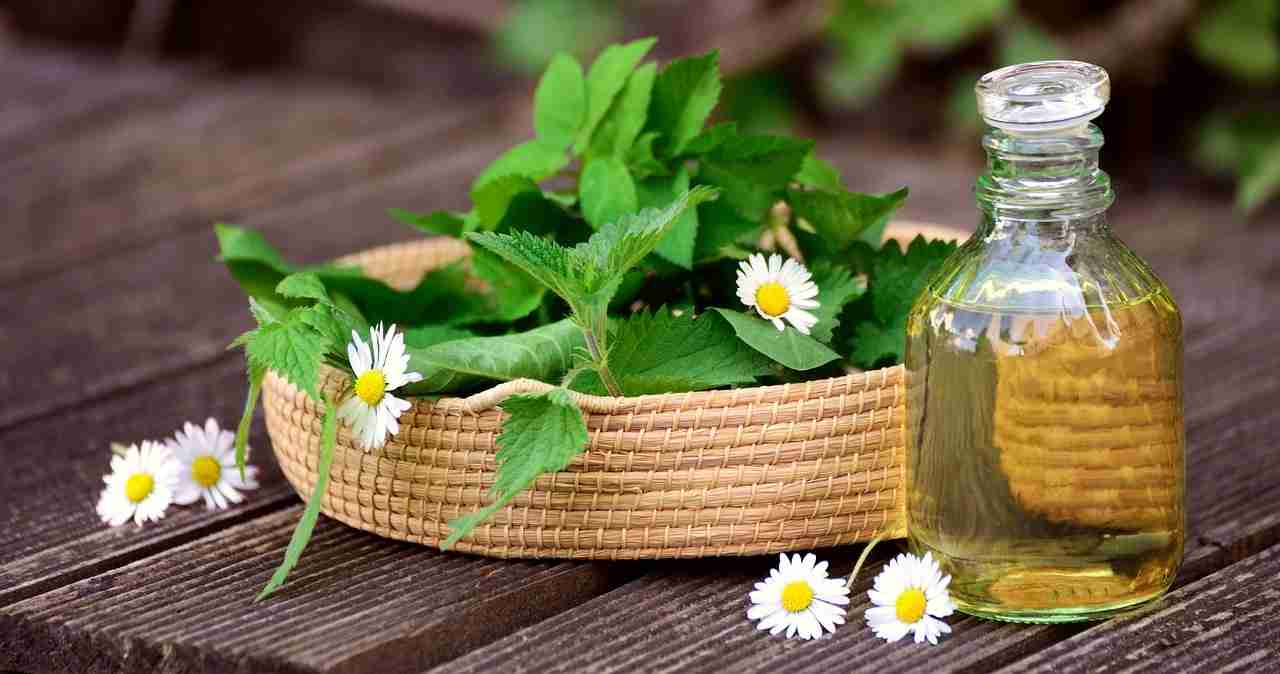 Naturopathy Treatment: Healing the Natural way
