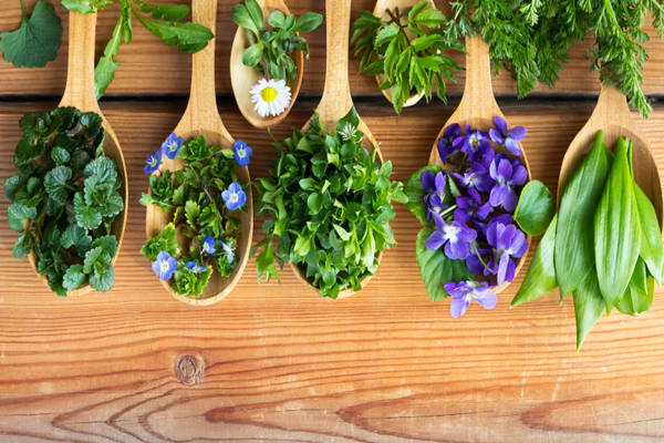 naturopathy treatment