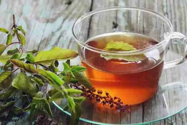 naturopathy