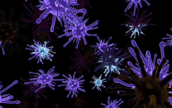 immunity fighting virus