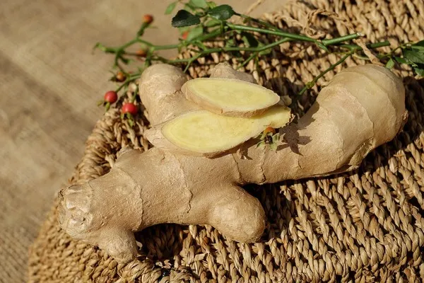 use of ginger powder 