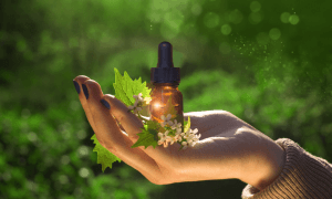 bach flower therapy