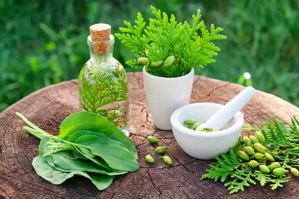 Naturopathy Centres in Bangalore : Holistic Solutions for Hormonal Imbalances