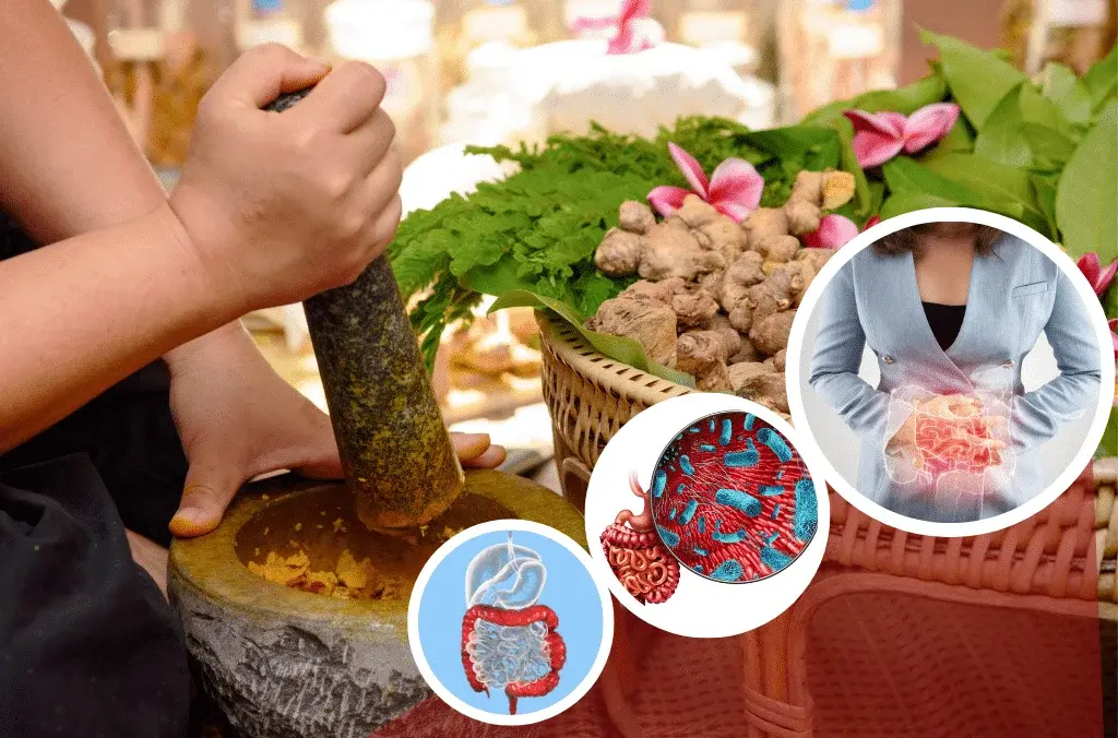 Herbal Health Care and Gut Health Programs as IBS Solutions
