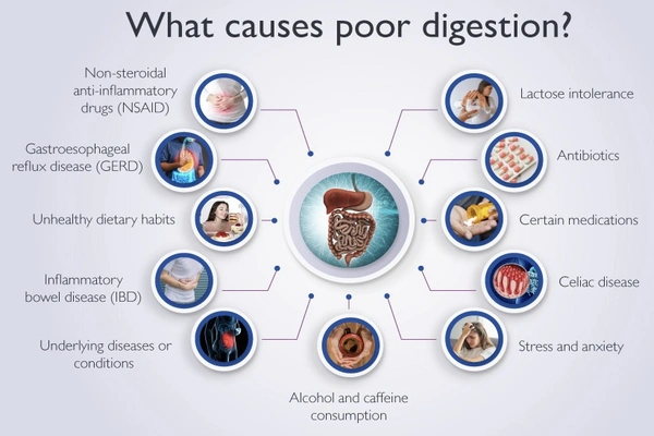 natural remedies for digestion