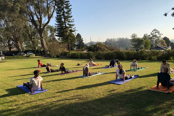 holistic wellness