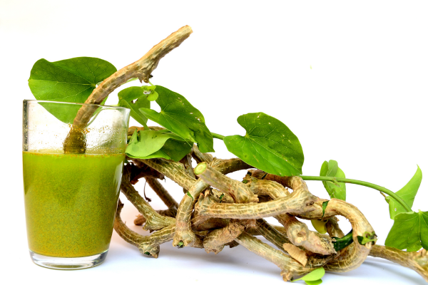 healing herbs